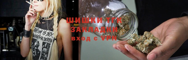 гидра Алексеевка