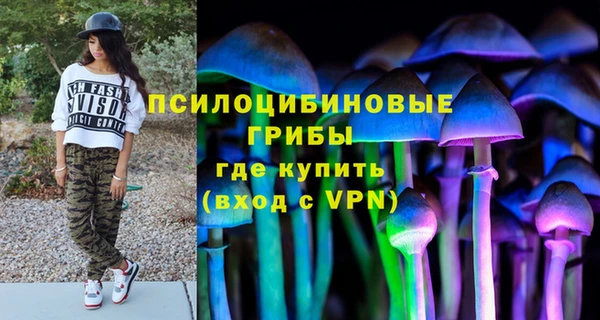 гидра Алексеевка